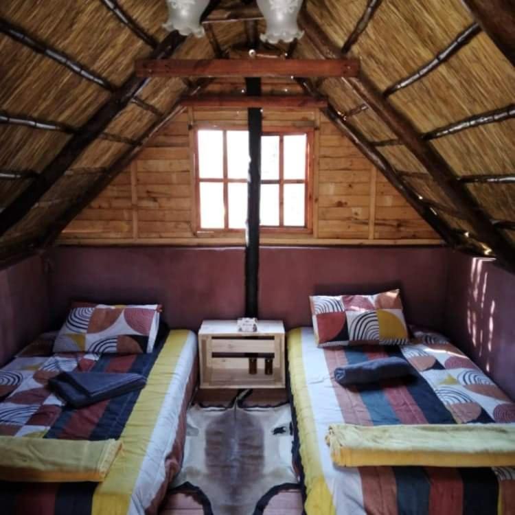 Hotel Shik Shack Backpackers Guernsey Nature Reserve Exterior foto